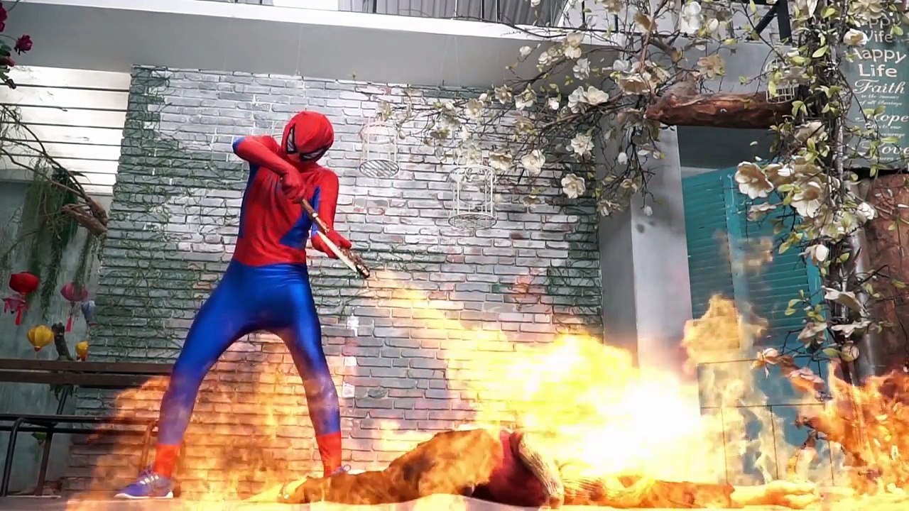 Phim hoat hinh Siêu nhân người nhện và công chúa hóa trang!Siêu nhân cứu công chúa