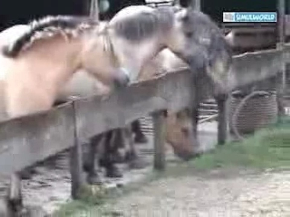 My e-farm Ferme virtuelle