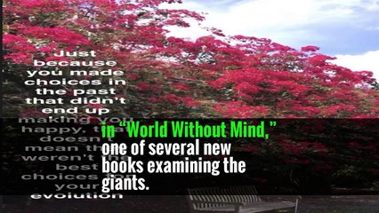 Can Washington Stop Big Tech Companies? Don’t Bet on It