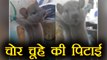 Karnataka shopkeeper ties a mouse to jar and beats him for stealing | वनइंडिया हिंदी