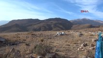 Siirt Herekol Dağı Eteklerinde Silah Sesleri Altında Bal Hasadı