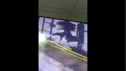 Employé vs Rouleau de lavage auto