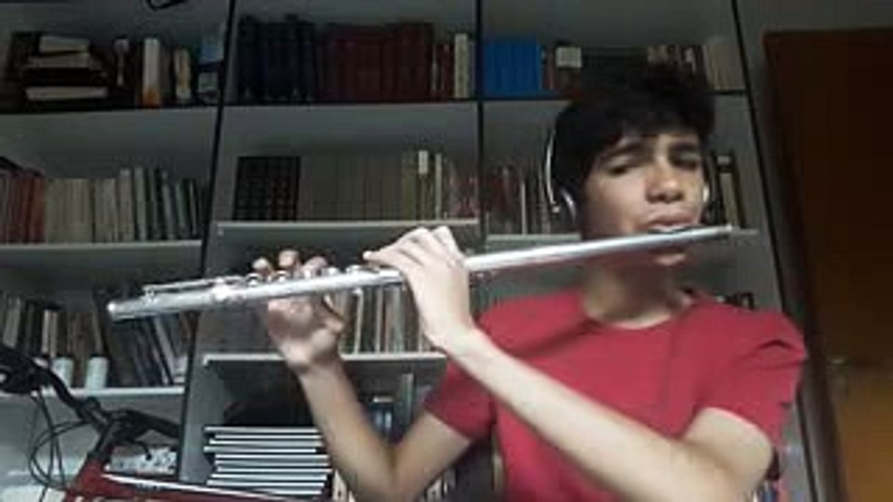 Rick and Morty Themes - Flute