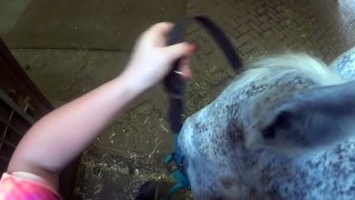 Tack Up + Ride With Me ~ GoPro!