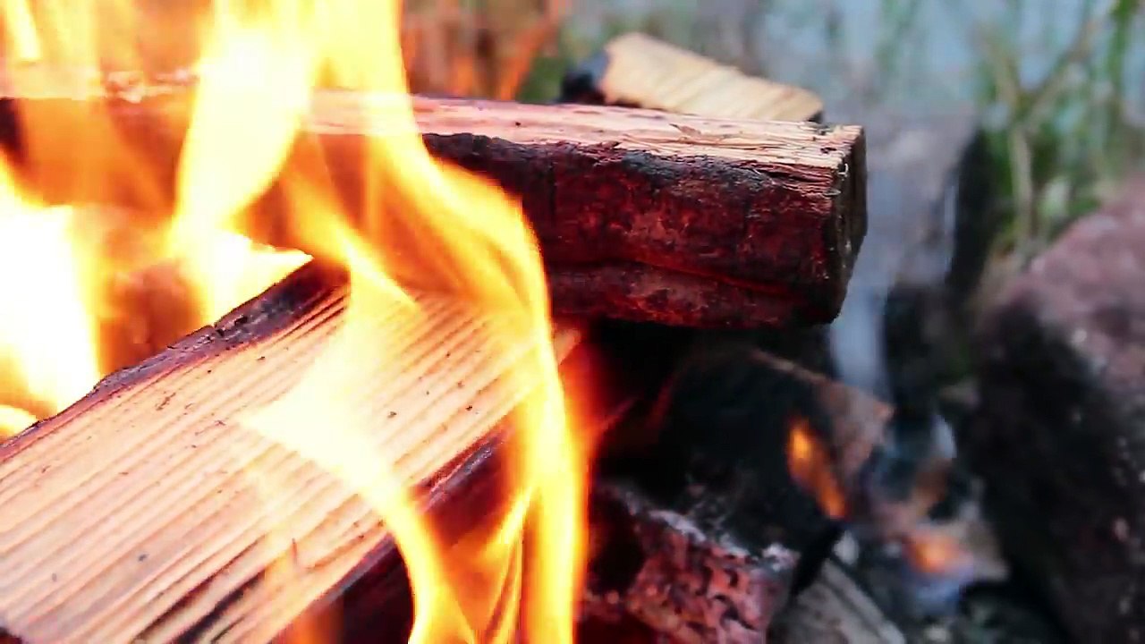 Best Carbonara Ever! - Cooking in the Forest