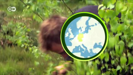 Bringing a bog back to life | DW English