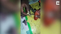 Volunteers use baby oil to rescue snake from glue mouse trap that it got trapped into while chasing mouse 