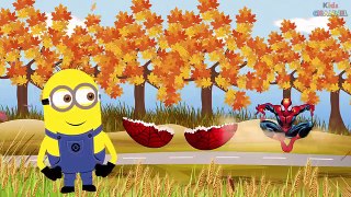 Minions Learning colors for kids | SPIDERMAN Surprise egg | TV Kids Channel