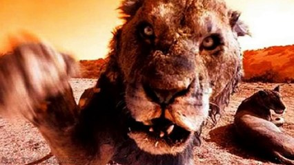 Самые страшные хищники-людоеды