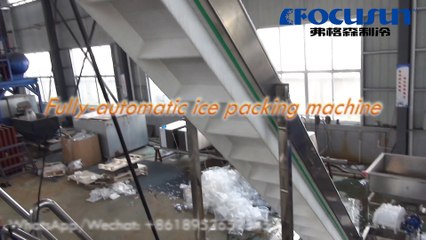 Focusun Automatic tube ice and cube ice packaging machine