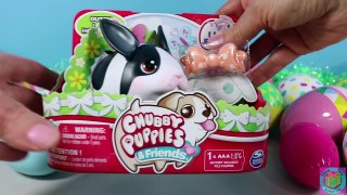 Easter present, Chubby Puppies & Friends Bunny is opened along with 12 Surprise Eggs