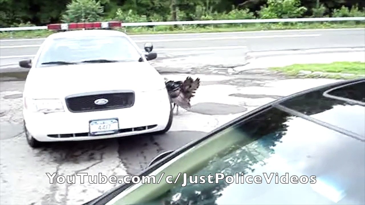 Turkey vs Police Compilation
