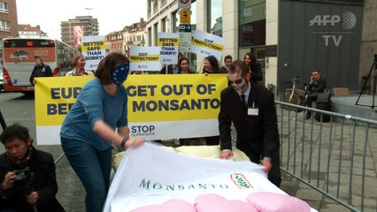L'UE doit "sortir du lit de Monsanto" pour les anti-glyphosate
