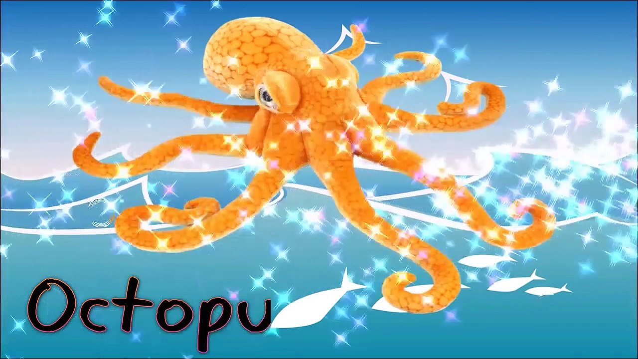 Sea Animals Puzzles Video for Kids, Preschoolers , Toddlers and Babies