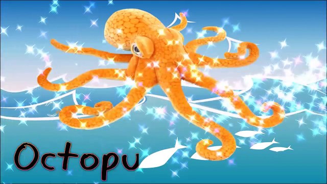 Sea Animals Puzzles Video for Kids, Preschoolers , Toddlers and Babies