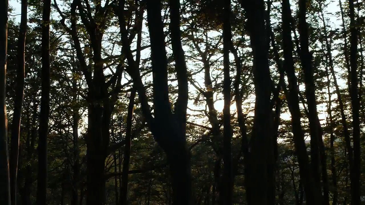 New Peugeot SUV range | Peugeot UK