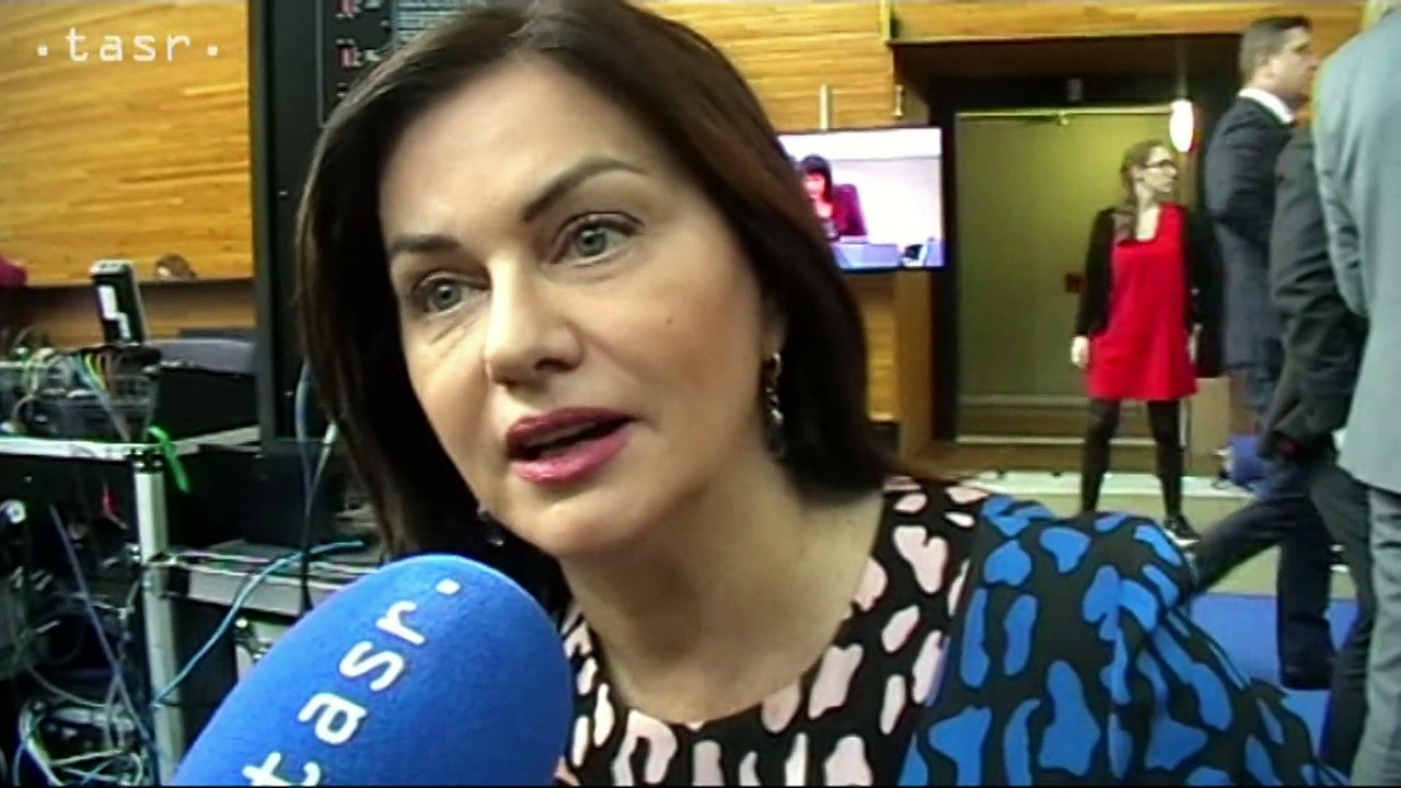 M. Beňová a J. Žitňanská v EP o sexuálnom obťažovaní na pracovisku