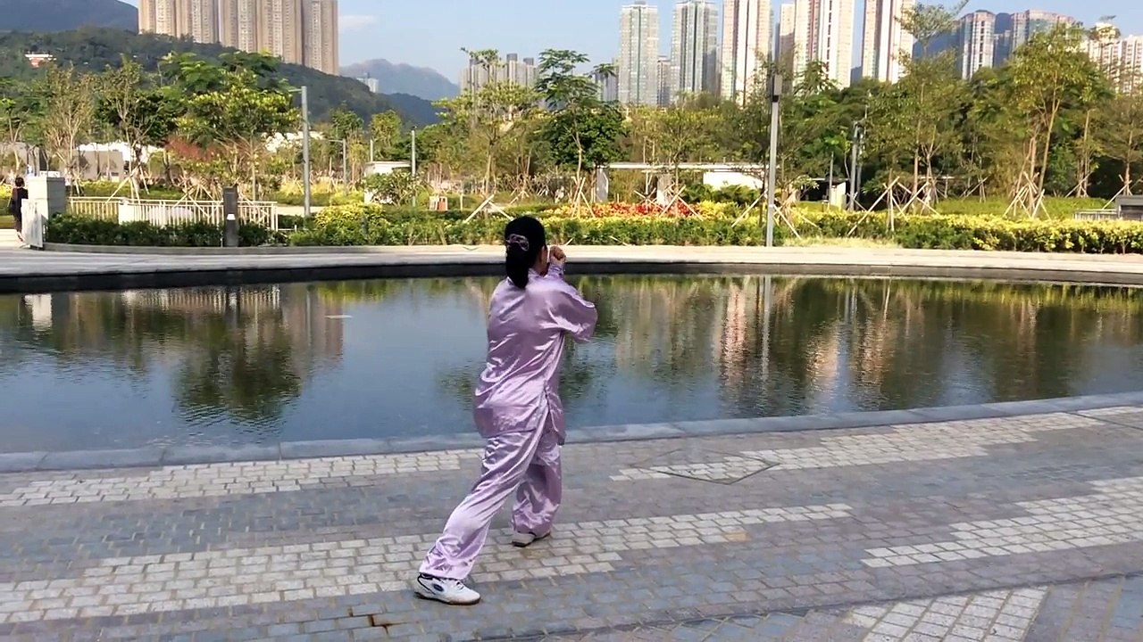 Tai  ji quan - 48 form - yang style