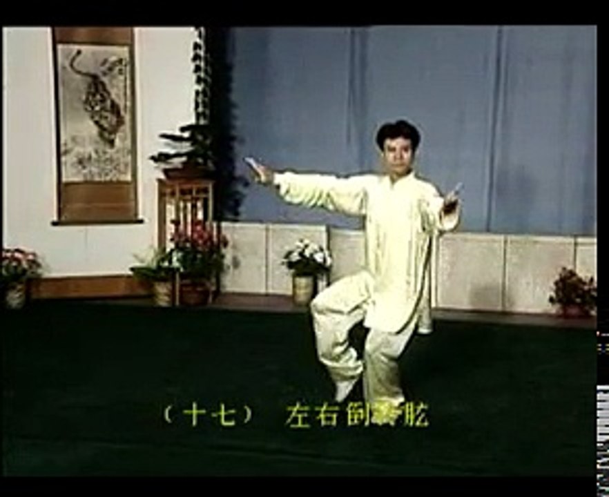 Tai chi chuan - 108 form - Back view - Yang style