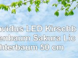 Gravidus LED Kirschblütenbaum Sakura Lichterbaum 50 cm