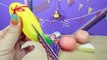 Cutting Open Squishy FOOD Toys! I Cut My Favorite Squishy! Jumbo Orbeez Egg Slicer Doctor Squish