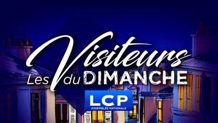LCP-Extrait 1 Les Visiteurs du Dimanche - Abd Al Malik et C.Villani - cette rencontre entre sérieux et fantaisie