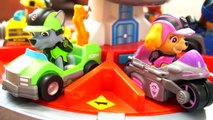 PAW PATROL ROLL PATROL ZUMA SKYE RESCUE WALLY WALRUS ADVENTURE BAY