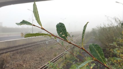 Le train laveur passe sur le Paris - Granville