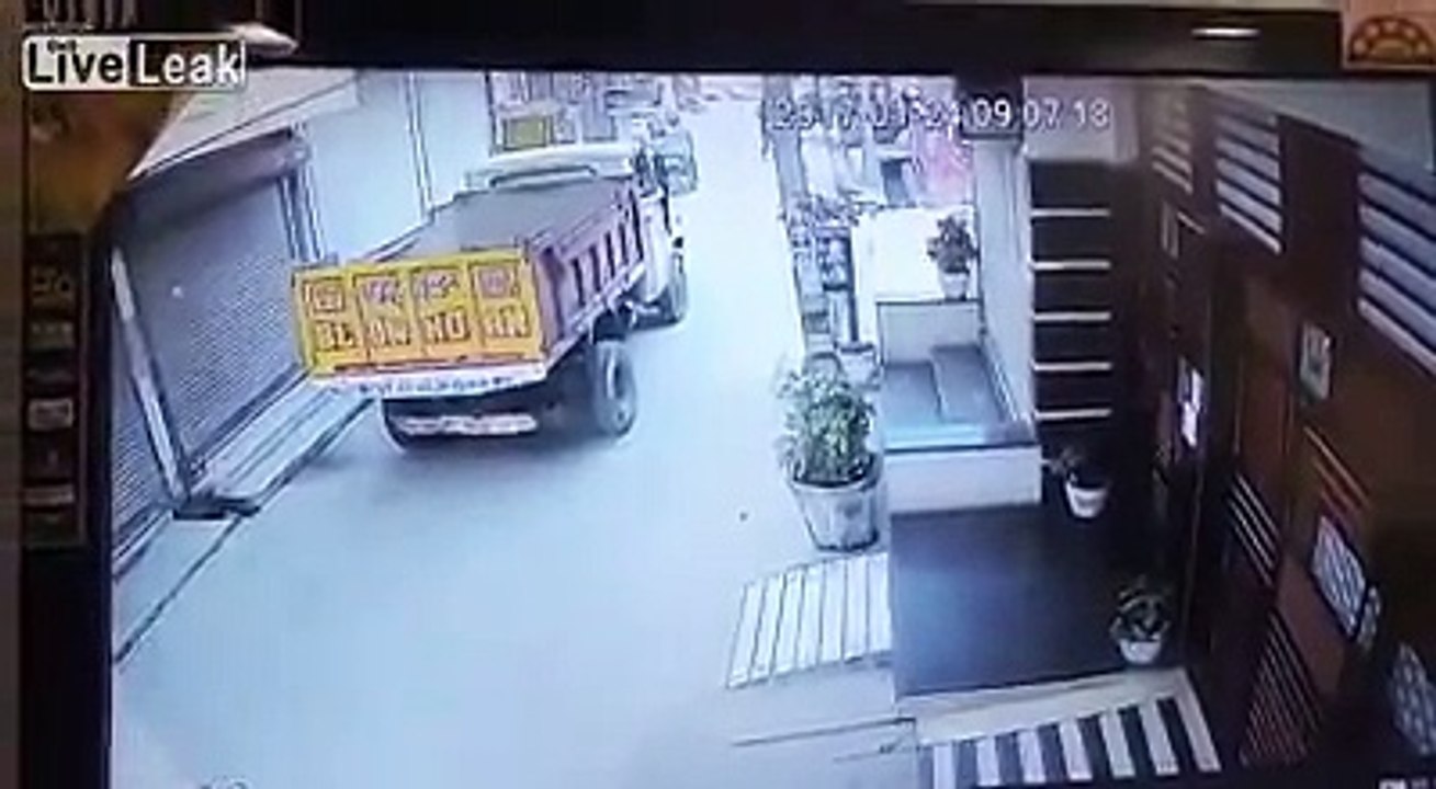the cows are in the city