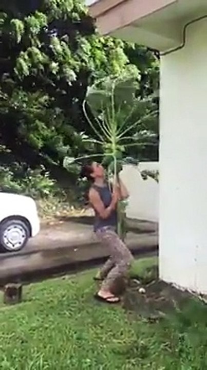 This is a beautiful act