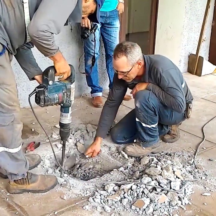 Ces ouvriers ont entendu des bruits provenant du mur... Regardez ce qu'ils ont trouvé piégé dans une canalisation
