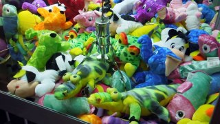 Counting the Claw Machine Payout Rate​​​ | ​​​