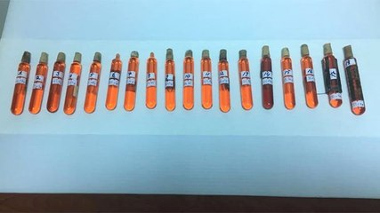 Ankara Polisinden Kobra Zehiri Operasyonu