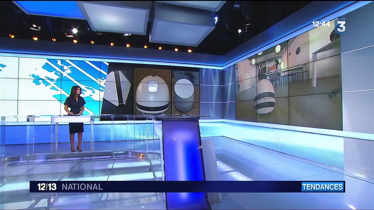 Technologie : des robots intelligents dans nos maisons