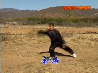 Bagua Straight Sword - Liu Jing Ru
