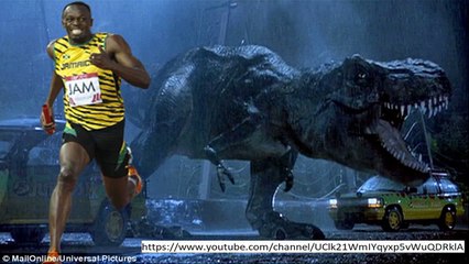 Jurassic Stop was Correct – T Rex sort dinosaur existed in Jurassic period