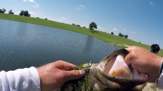 The Most EPIC Last Cast In Bass Fishing