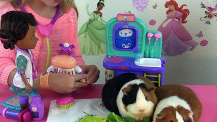 DOC McSTUFFINS Pet Vet New Toys Make Me Better Playset Hallie Gets a Color Changing Cast