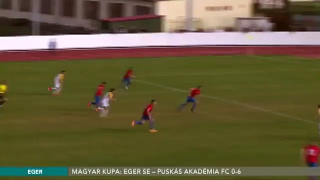 Eger SE 0:2 Puskás Akadémia FC (Hungarian Cup 25 October 2017)
