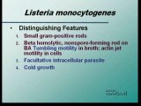 Microbiology Listeria