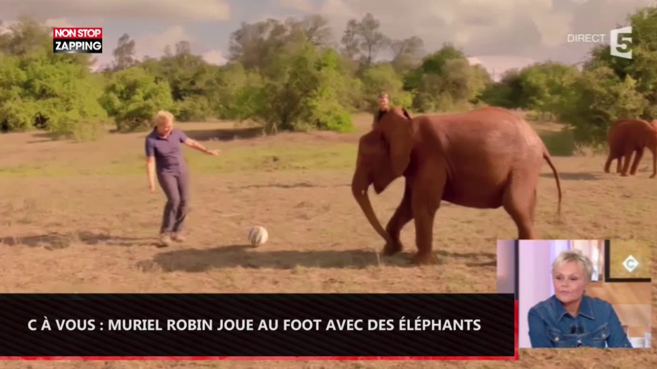 C à Vous : Muriel Robin joue au foot avec des éléphants (Vidéo)