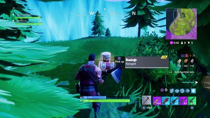 Fortnite how did we win