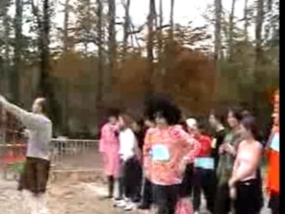 Krossskolaj