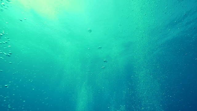 Artificial Reefs International and Salt Life Team Up To Sink Clamagore