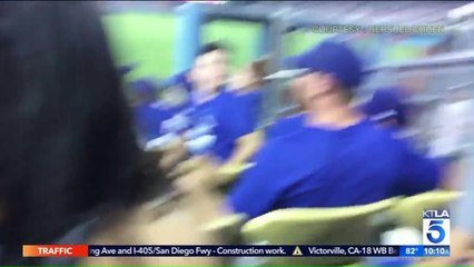Video Shows Dodgers Fan Jumping Into Astros Bullpen During World Series Game