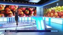 Agriculture : comment développe-t-on une variété de pommes ?