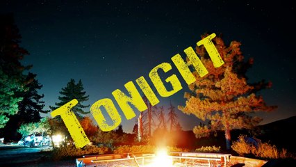 Cap Bailey - Owlz Out (Official Lyric Video)