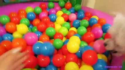 Playing With Color Balls and Popping Giant Balloons|B2cutecupcakes