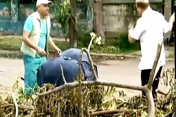 VIVIR DEL CUENTO      De tal papa, tal semilla