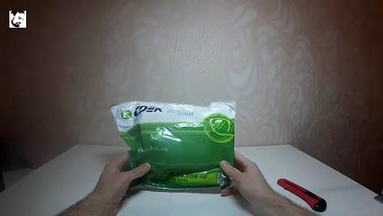 Встречайте, новые муравьи для канала! // Camponotus ы и не только // #96